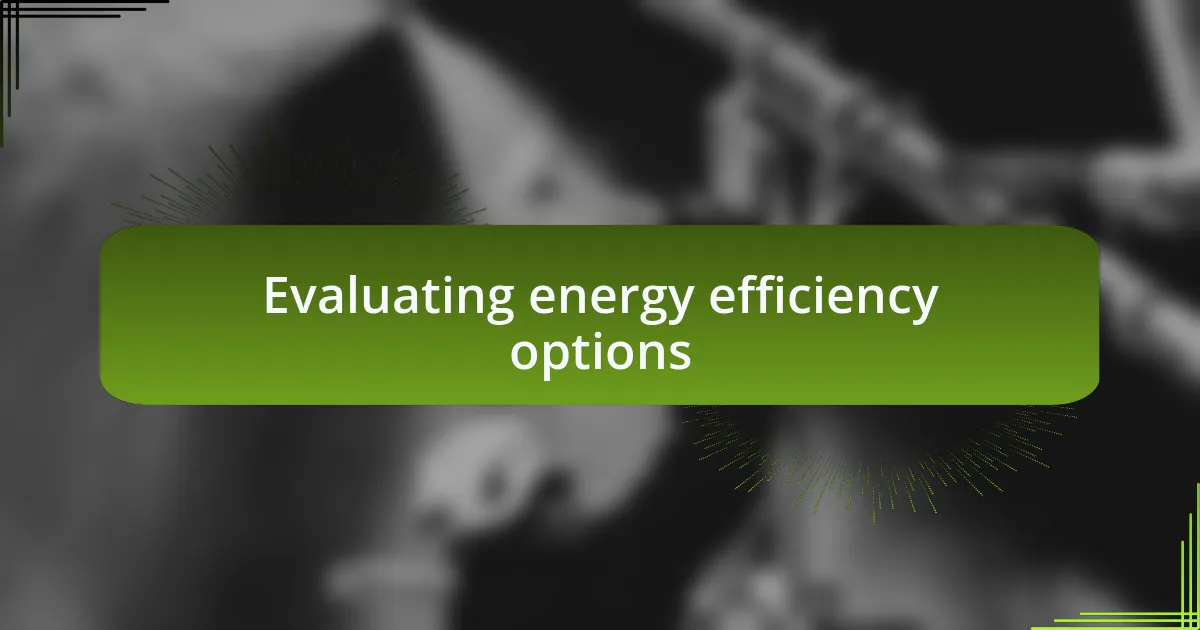 Evaluating energy efficiency options