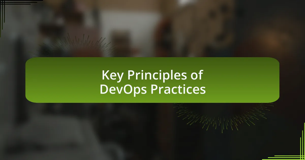 Key Principles of DevOps Practices