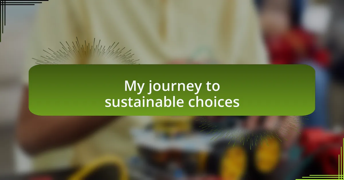 My journey to sustainable choices
